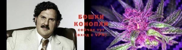 герыч Ельня
