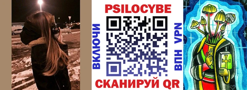 Галлюциногенные грибы Psilocybine cubensis  Черкесск 
